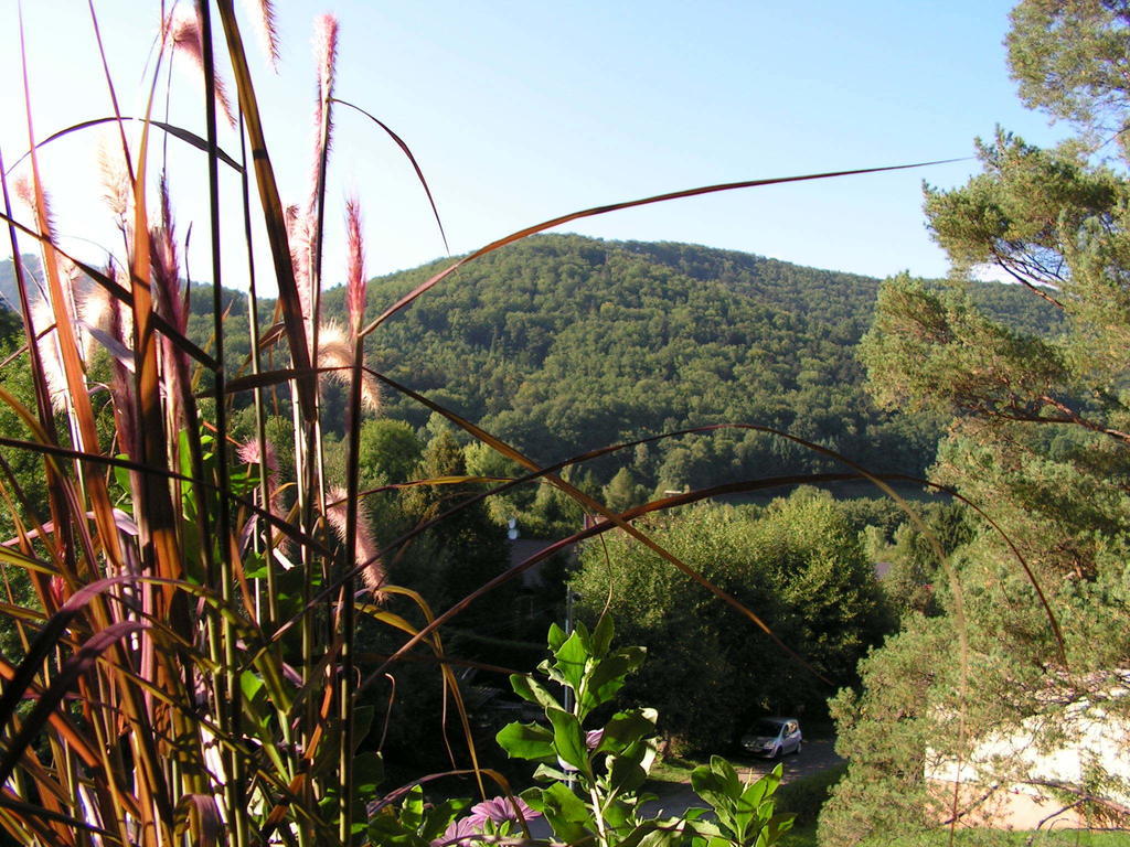 Buhl De Bonheur Βίλα Guebwiller Εξωτερικό φωτογραφία